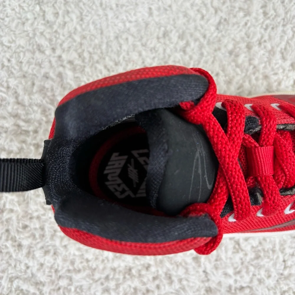 Nike lebron shoes